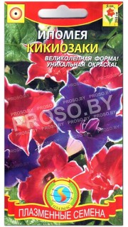 Ипомея Кикиозаки, смесь