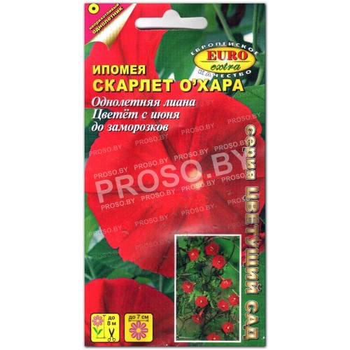 Ипомея Скарлет Охара-1