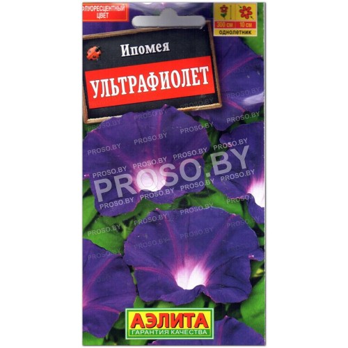 Ипомея Ультрафиолет