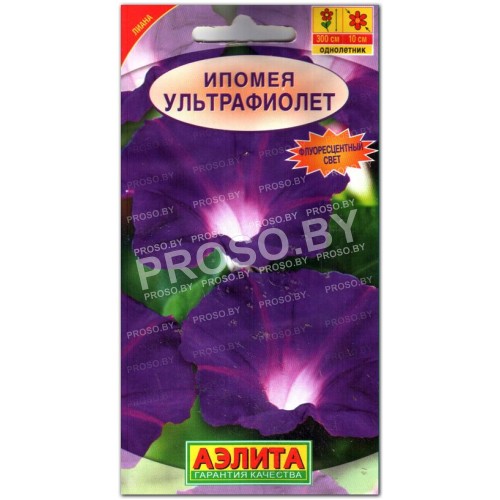 Ипомея Ультрафиолет-1
