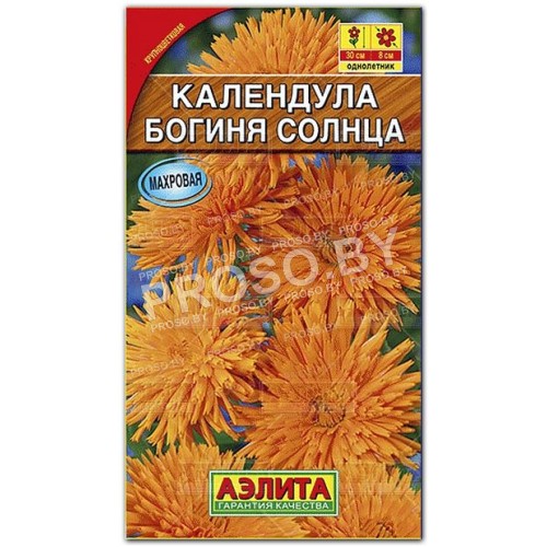 Календула Богиня солнца