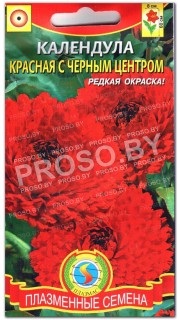Календула Красная с черным центром