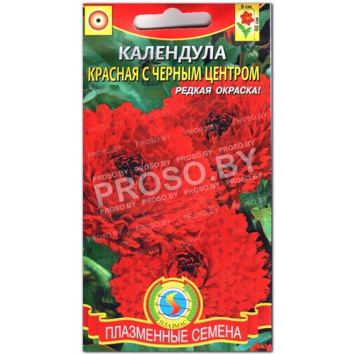 Календула Красная с черным центром