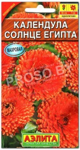 Календула Солнце Египта