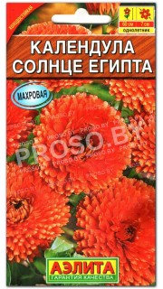 Календула Солнце Египта