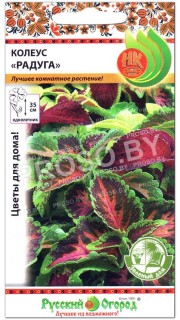 Колеус Радуга, смесь