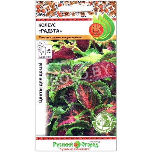 Колеус Радуга, смесь