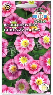 Конвольвулюс Венский вальс