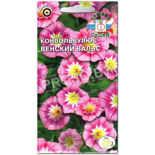 Конвольвулюс Венский вальс