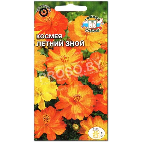 Космея Летний зной