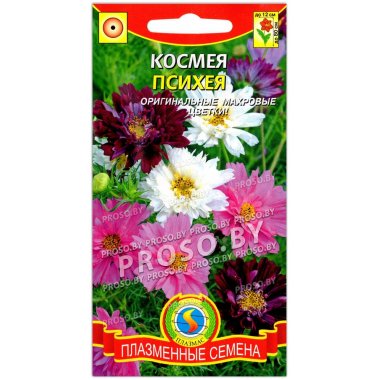 Космея Психея, смесь