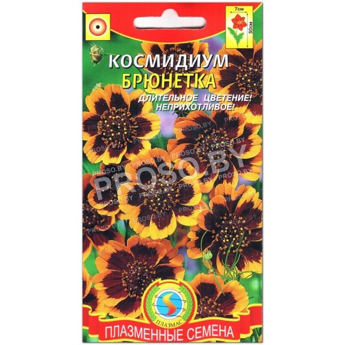 Космидиум Брюнетка