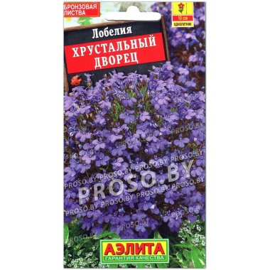 Лобелия Хрустальный дворец