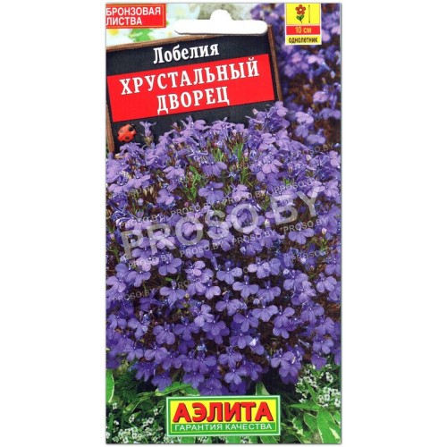 Лобелия Хрустальный дворец