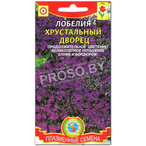 Лобелия Хрустальный дворец-1