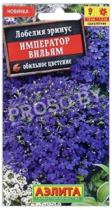 Лобелия Император Вилли (Вильямс)