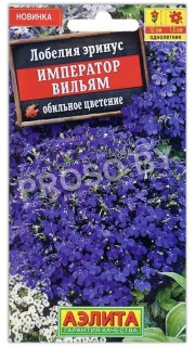 Лобелия Император Вилли (Вильямс)