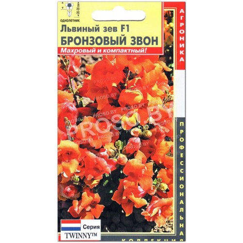 Львиный зев Бронзовый звон F1