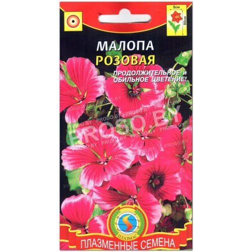 Малопа Розовая