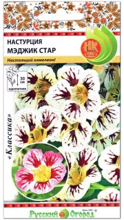 Настурция Мэджик стар