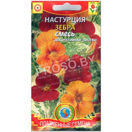 Настурция Зебра, смесь-1