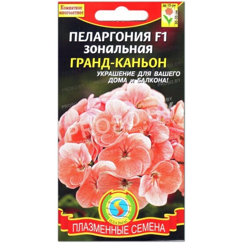 Пеларгония зональная Гранд-каньон F1