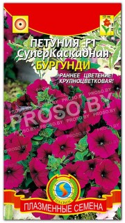 Петуния Суперкаскадная бургунди F1