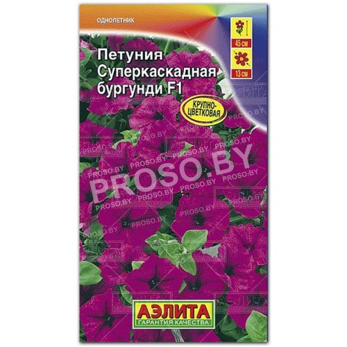 Петуния Суперкаскадная бургунди F1-2
