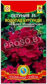 Петуния Водопад бургунди