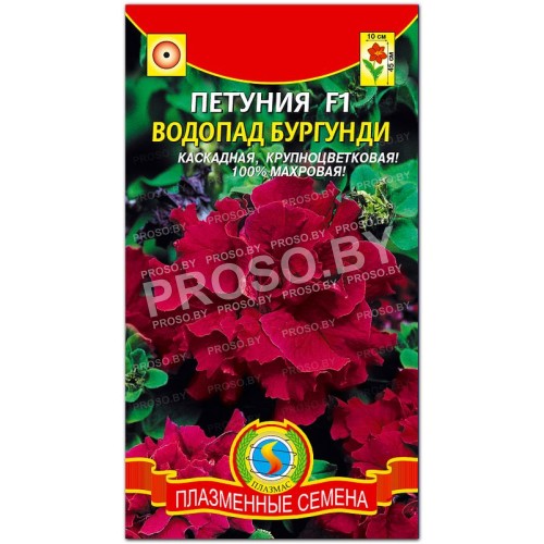 Петуния Водопад бургунди