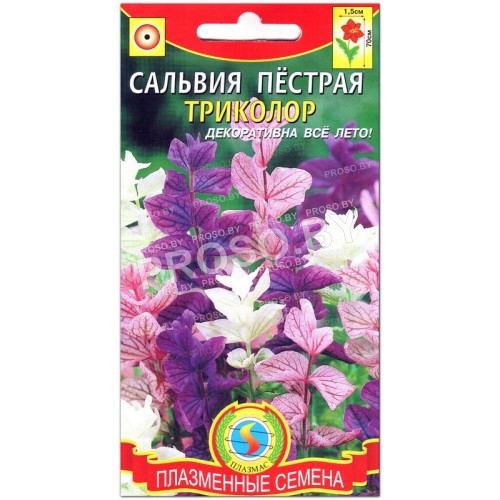 Сальвия пестрая Триколор