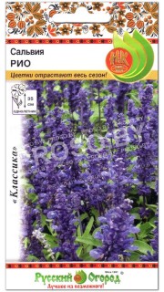 Сальвия Рио