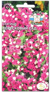 Статице Вересковый сад