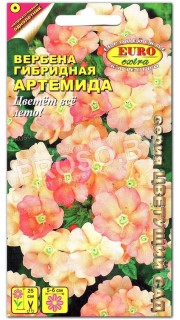 Вербена Артемида