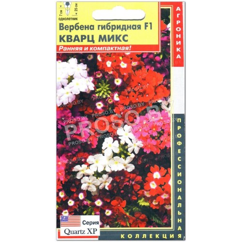 Вербена Кварц микс F1