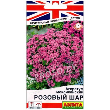 Агератум мексиканский Розовый шар