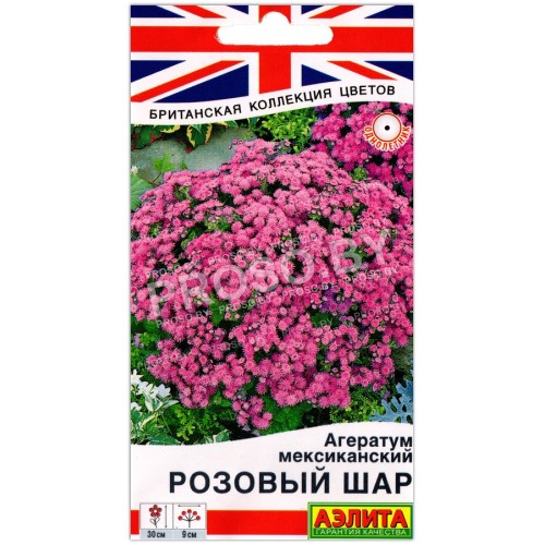 Агератум мексиканский Розовый шар