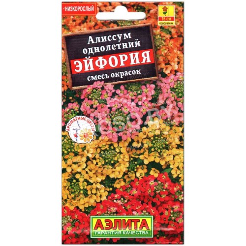 Алиссум Эйфория, смесь