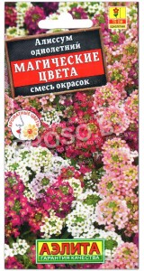 Алиссум Магические цвета, смесь