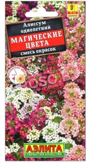 Алиссум Магические цвета, смесь