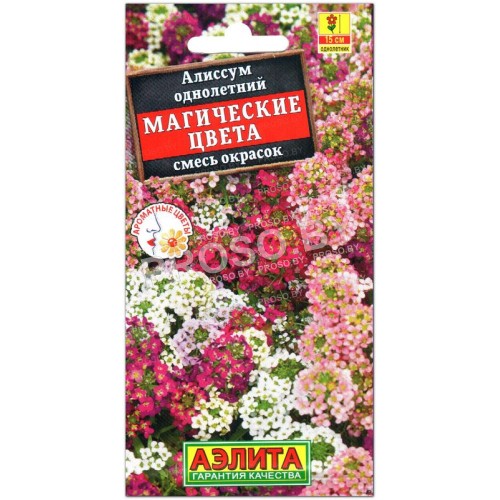 Алиссум Магические цвета, смесь