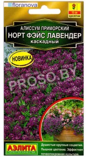 Алиссум приморский каскадный Норт фэйс лавендер