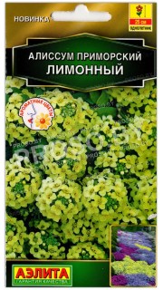 Алиссум приморский Лимонный