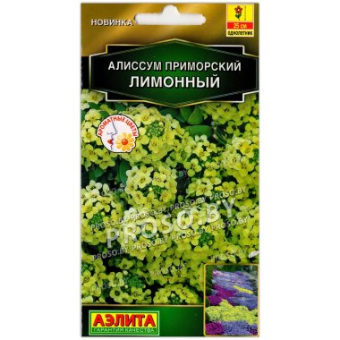 Алиссум приморский Лимонный
