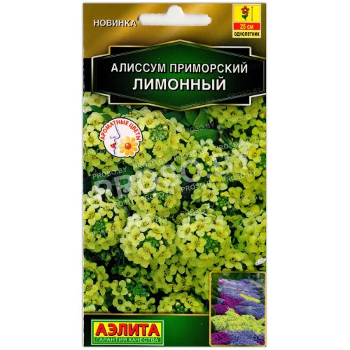 Алиссум приморский Лимонный