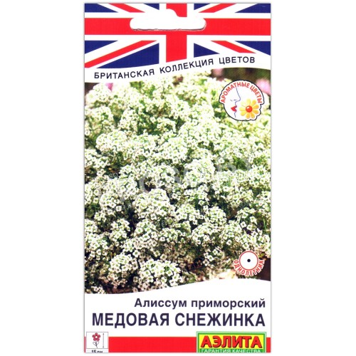 Алиссум приморский Медовая снежинка