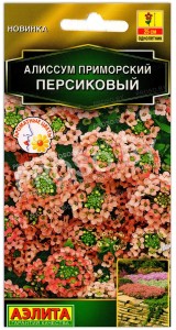 Алиссум приморский Персиковый