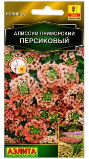 Алиссум приморский Персиковый