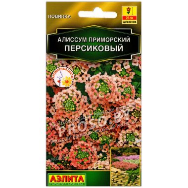 Алиссум приморский Персиковый