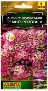 Алиссум приморский Темно-розовый